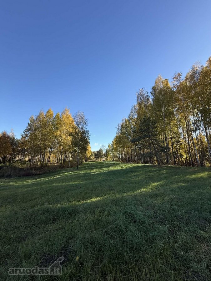 Parduodamas jaukus žemės ūkio paskirties - nuotraukos Nr. 13
