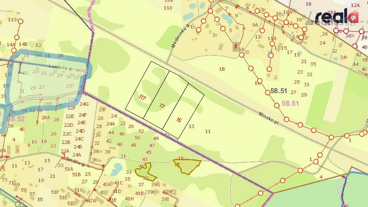 Parduodamas 3,13 ha (313 arų) bendro ploto - nuotraukos Nr. 7