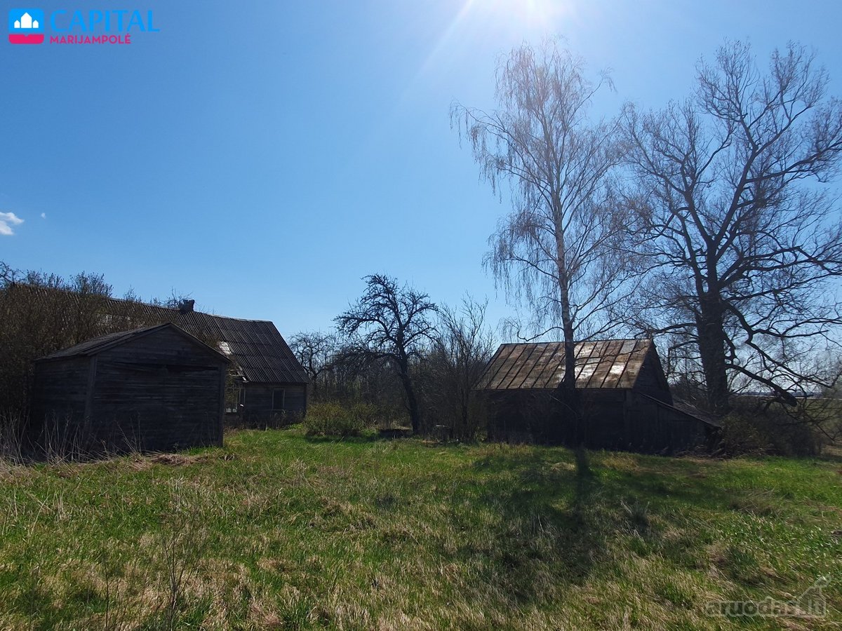 Parduodama šimtametė dzūkų sodyba ir labai - nuotraukos Nr. 2