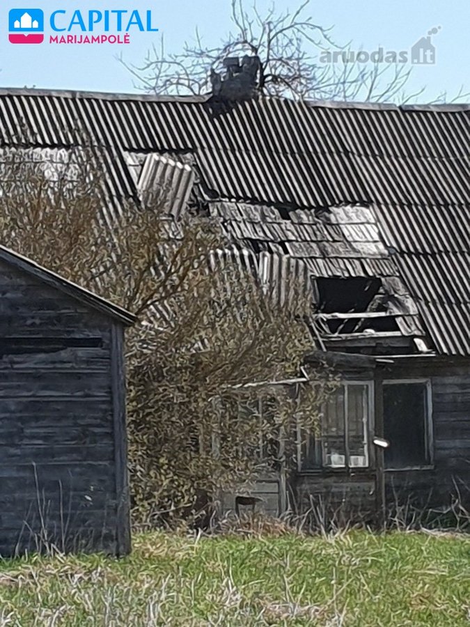 Parduodama šimtametė dzūkų sodyba ir labai - nuotraukos Nr. 6