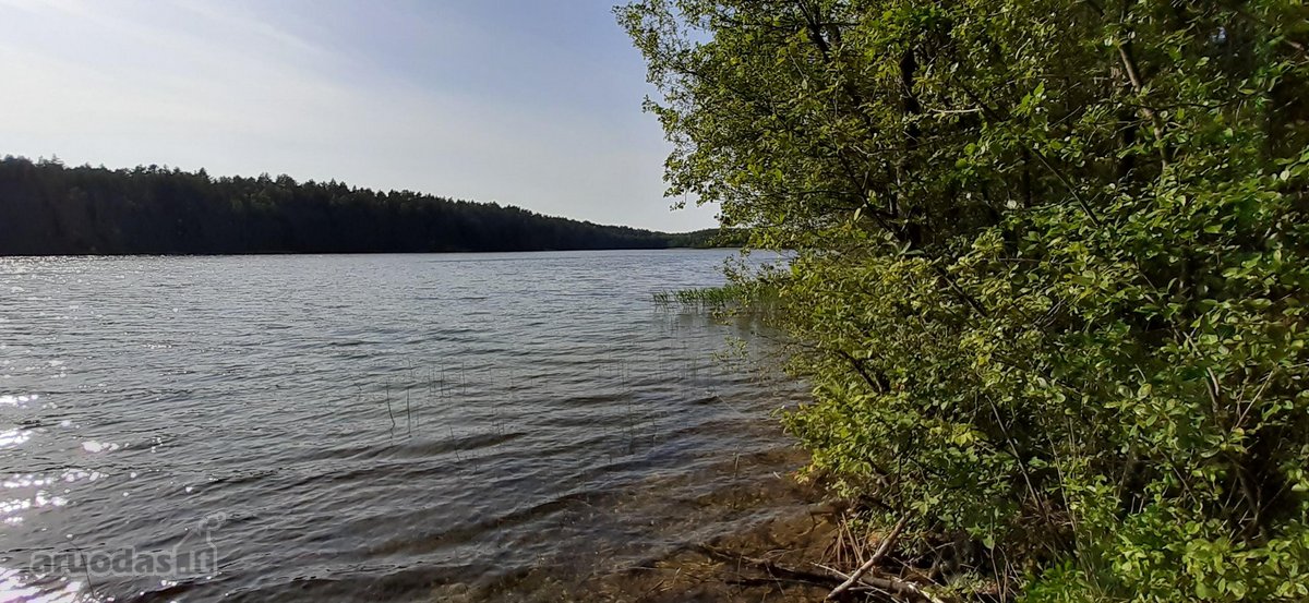 Parduodamas 2.5ha žemės ūkio paskirties