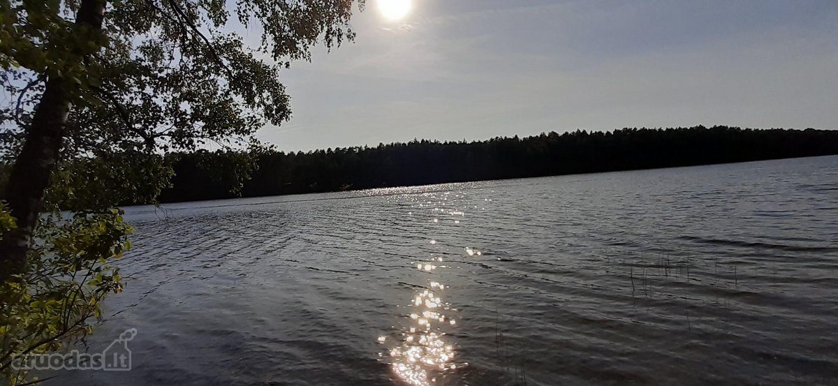 Parduodamas 2.5ha žemės ūkio paskirties - nuotraukos Nr. 2