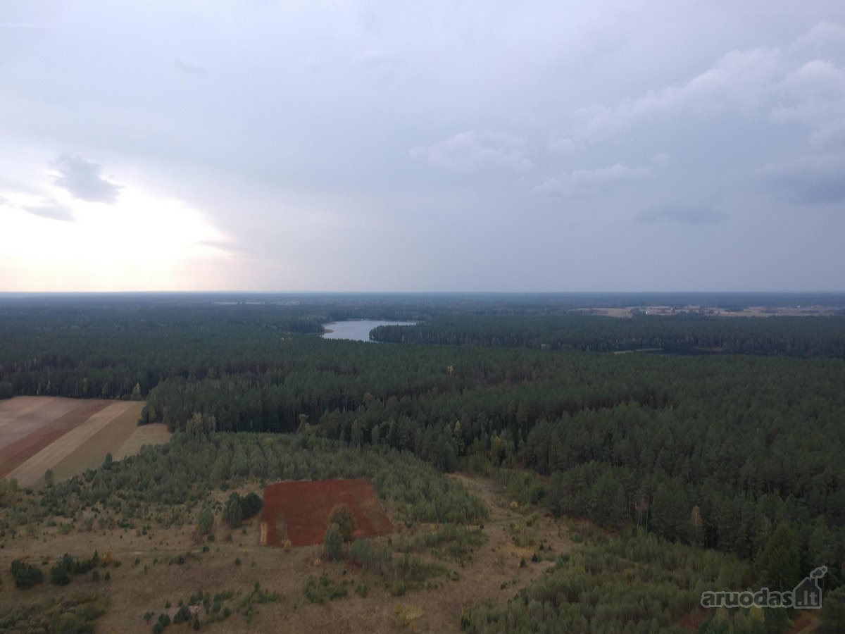 Parduodamas 2.5ha žemės ūkio paskirties - nuotraukos Nr. 3