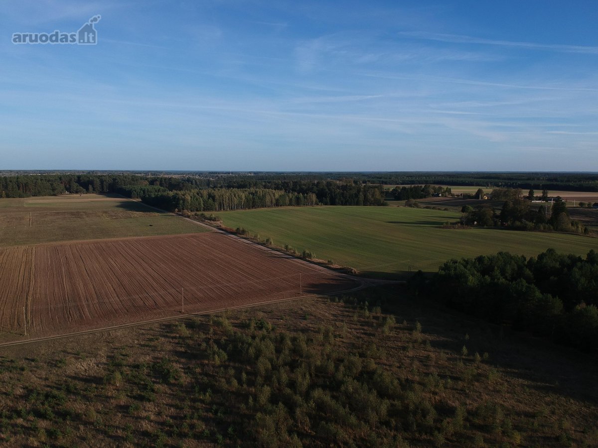 Parduodamas 2.5ha žemės ūkio paskirties - nuotraukos Nr. 4