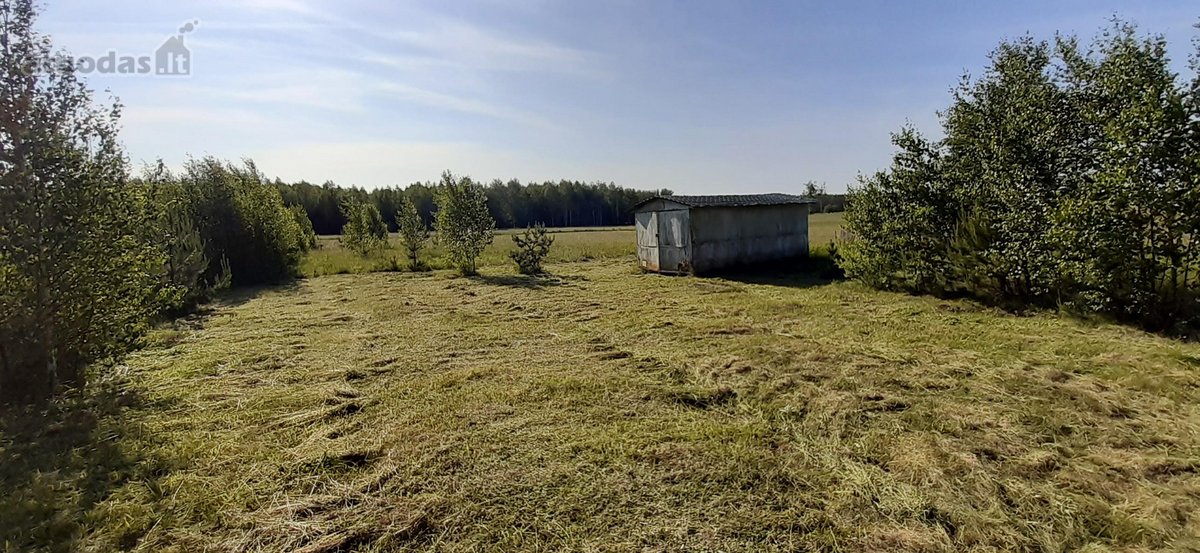Parduodamas 2.5ha žemės ūkio paskirties - nuotraukos Nr. 5