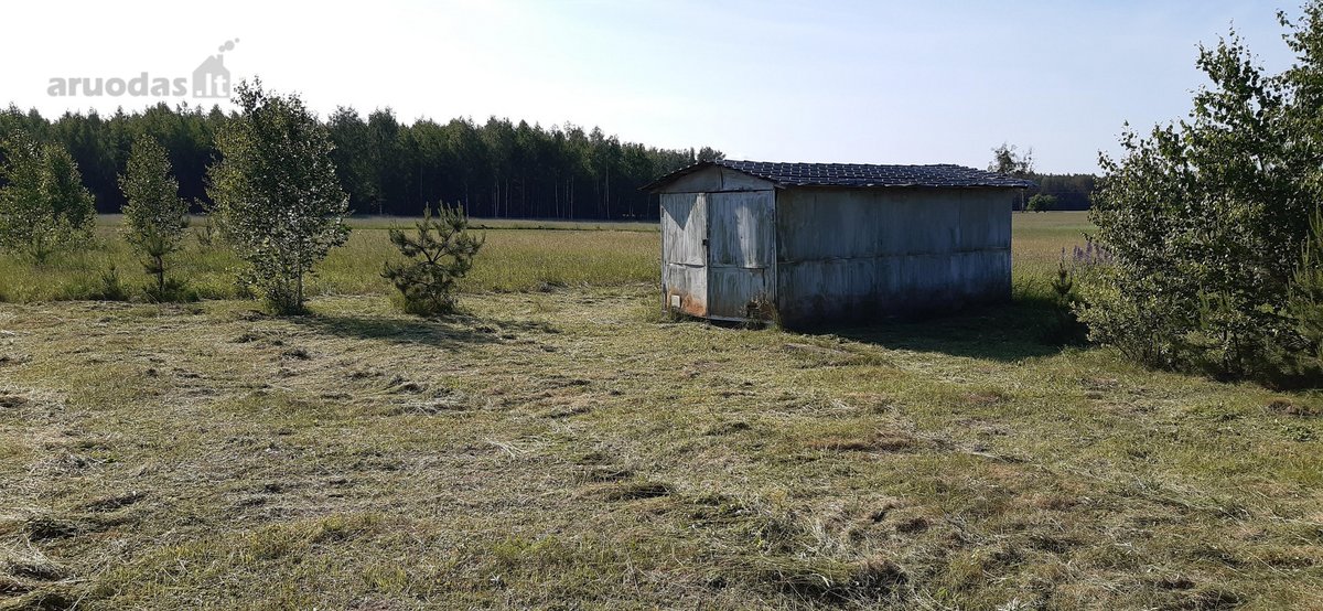 Parduodamas 2.5ha žemės ūkio paskirties - nuotraukos Nr. 6