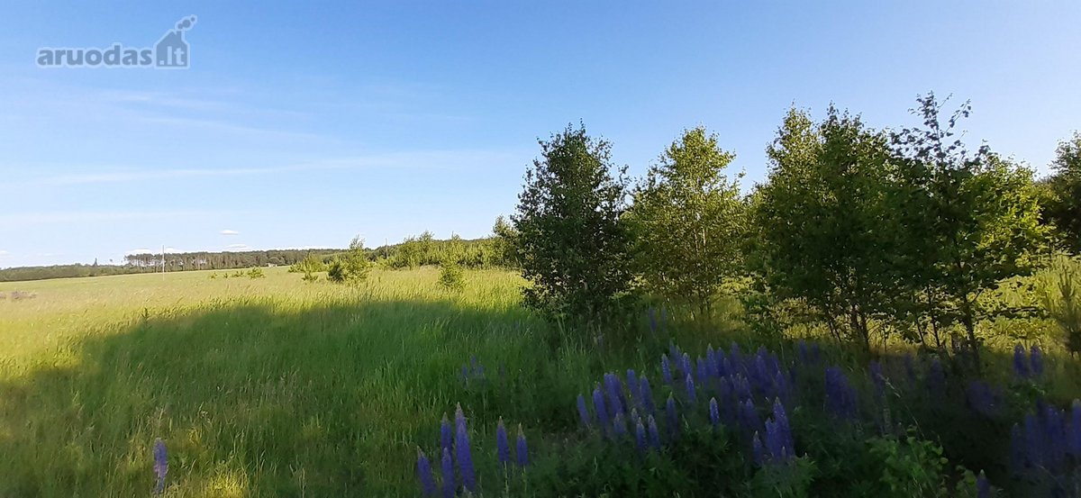 Parduodamas 2.5ha žemės ūkio paskirties - nuotraukos Nr. 7