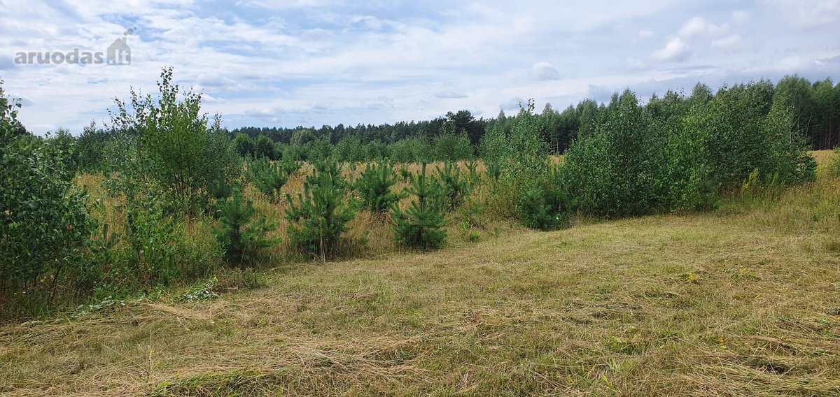 Parduodamas 2.5ha žemės ūkio paskirties - nuotraukos Nr. 9