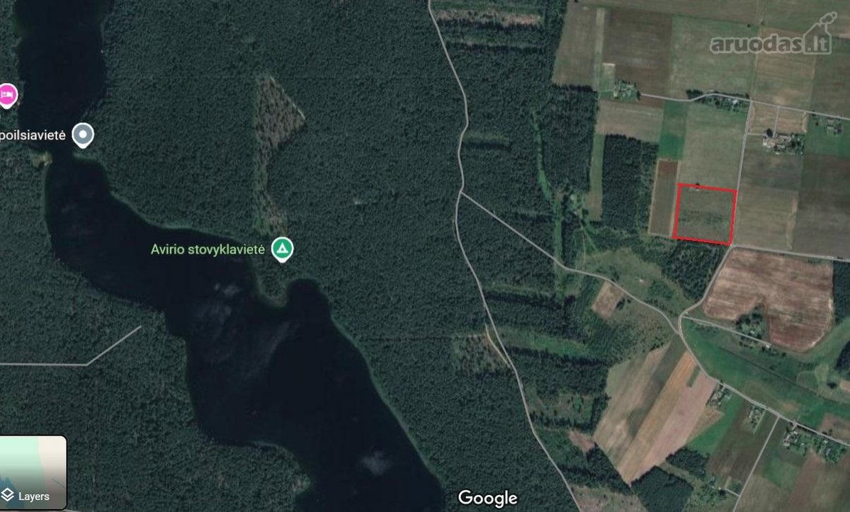 Parduodamas 2.5ha žemės ūkio paskirties - nuotraukos Nr. 11