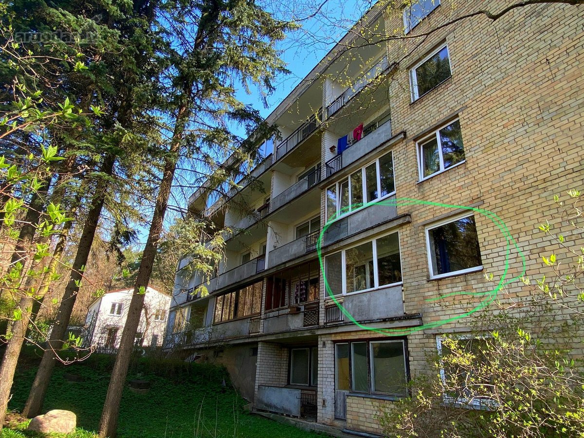 Labai rami vieta, šalia miškas - parkas.