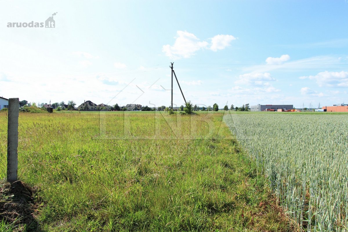 Pigiai parduodamas namų valdos sklypas - nuotraukos Nr. 5