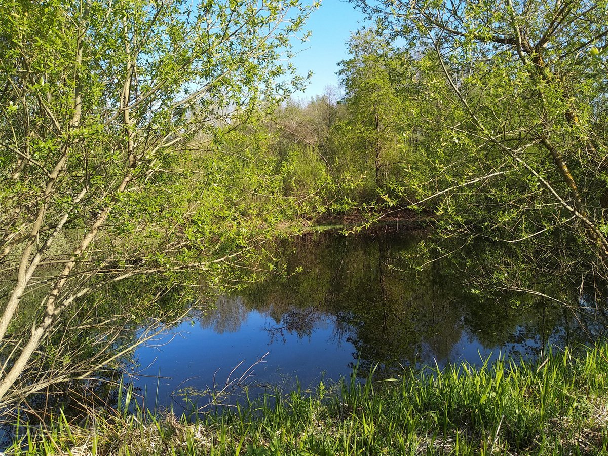 Širvintų r. sav., Babriškio k., žemės ūkio - nuotraukos Nr. 3