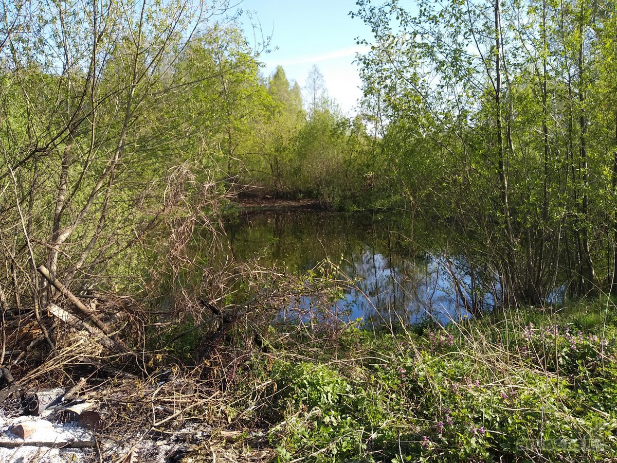Širvintų r. sav., Babriškio k., žemės ūkio - nuotraukos Nr. 4