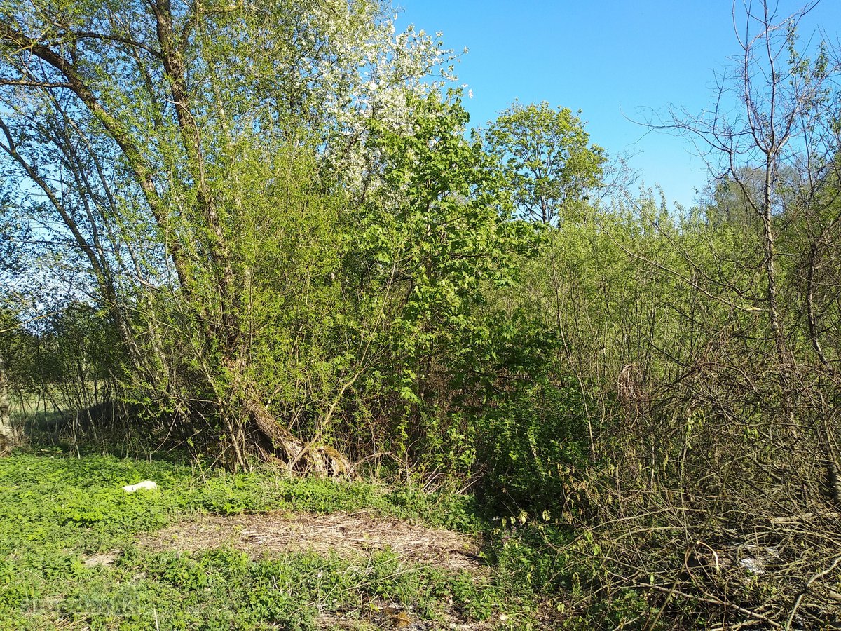 Širvintų r. sav., Babriškio k., žemės ūkio - nuotraukos Nr. 13