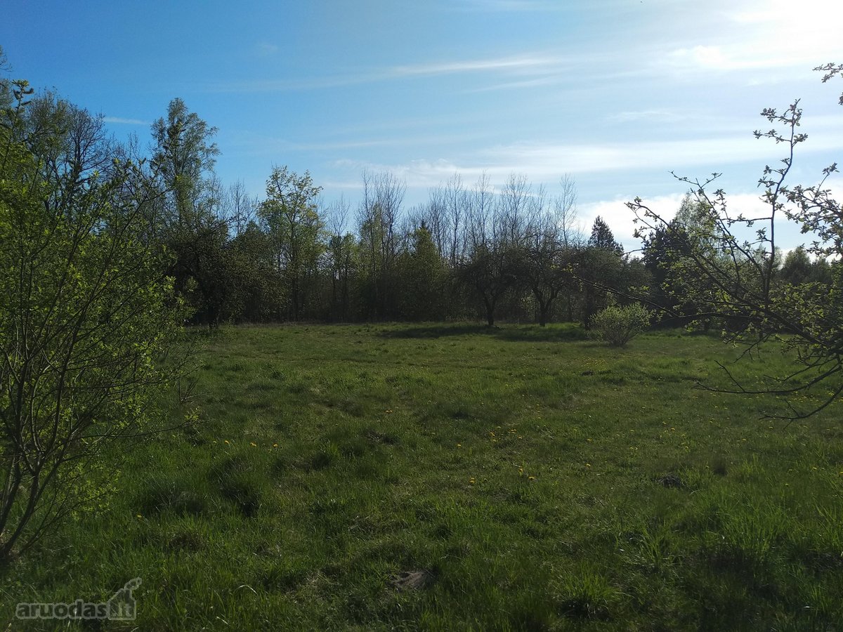 Širvintų r. sav., Babriškio k., žemės ūkio - nuotraukos Nr. 15