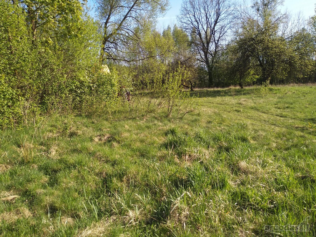 Širvintų r. sav., Babriškio k., žemės ūkio - nuotraukos Nr. 16