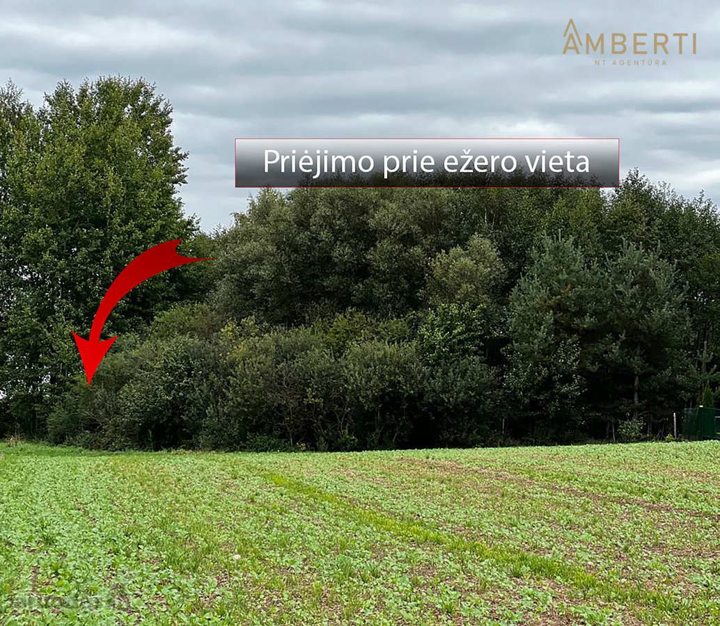 Puikus pasiūlymas ieškantiems sklypo ramioje - nuotraukos Nr. 2