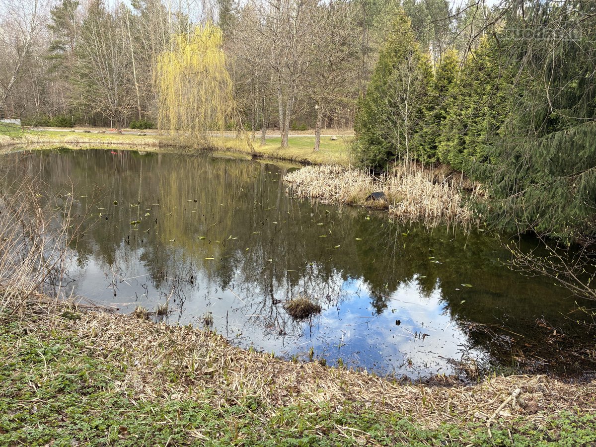 Parduodamas jaukus sodo sklypas su namuku - nuotraukos Nr. 5