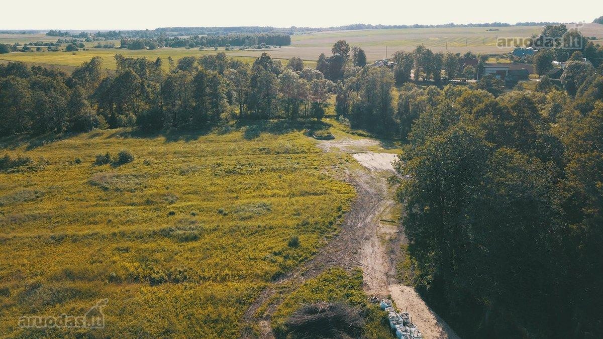 Parduodamas namų valdos sklypas prie Merkio upės. - nuotraukos Nr. 4