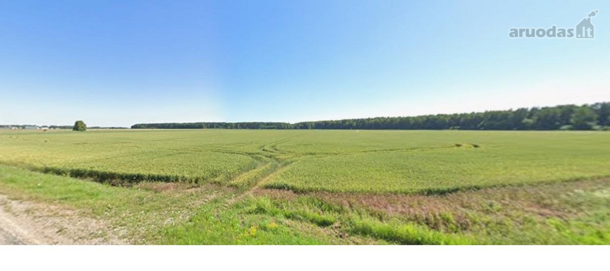Parduodamas žemės ūkio paskirties sklypas, - nuotraukos Nr. 4