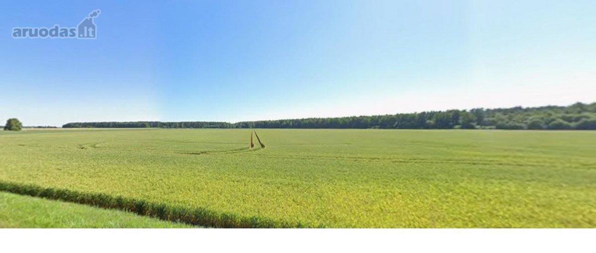 Parduodamas žemės ūkio paskirties sklypas,