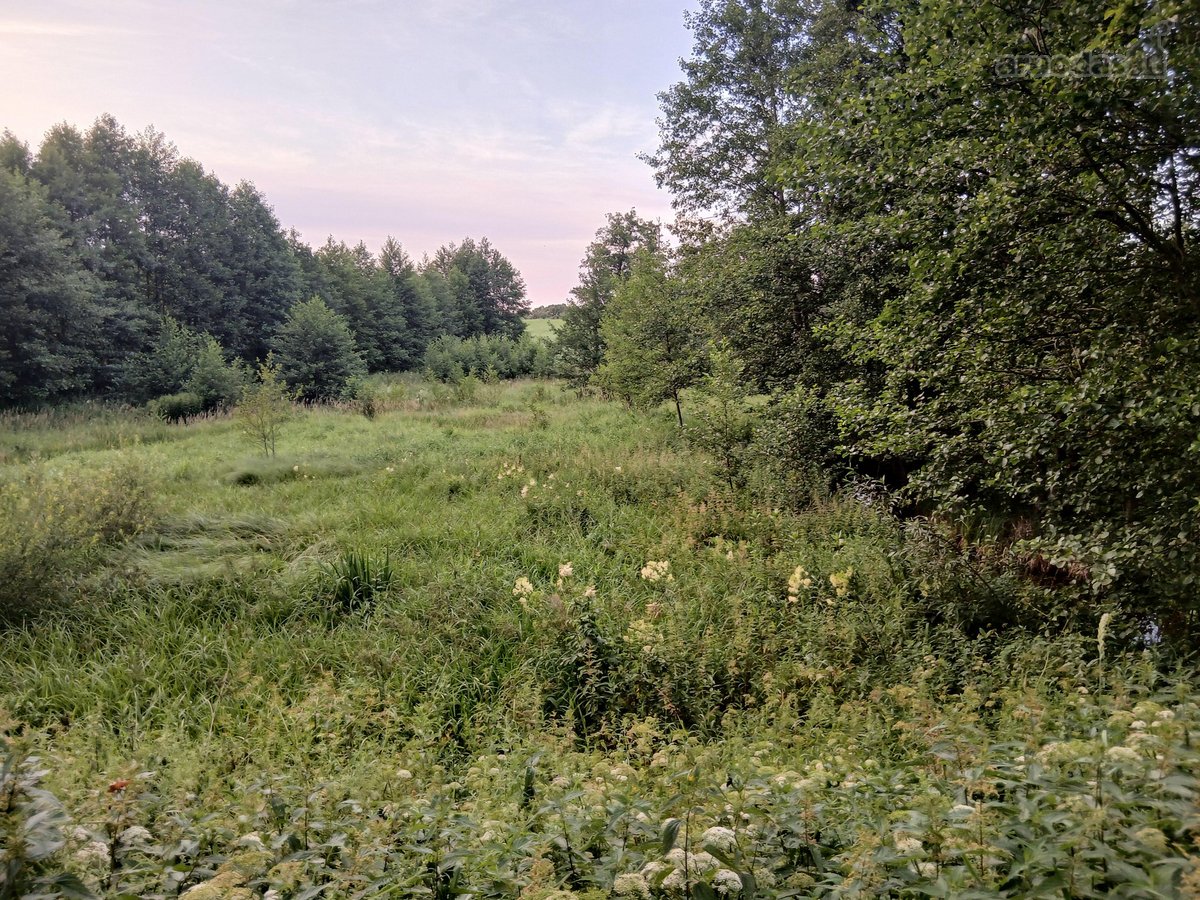 Per sklypą teka upelis Kamainė. - nuotraukos Nr. 2
