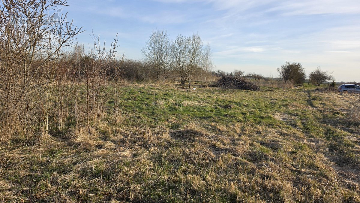 Parduodamas 12 a sodų sklypas Baisogaloje - nuotraukos Nr. 3