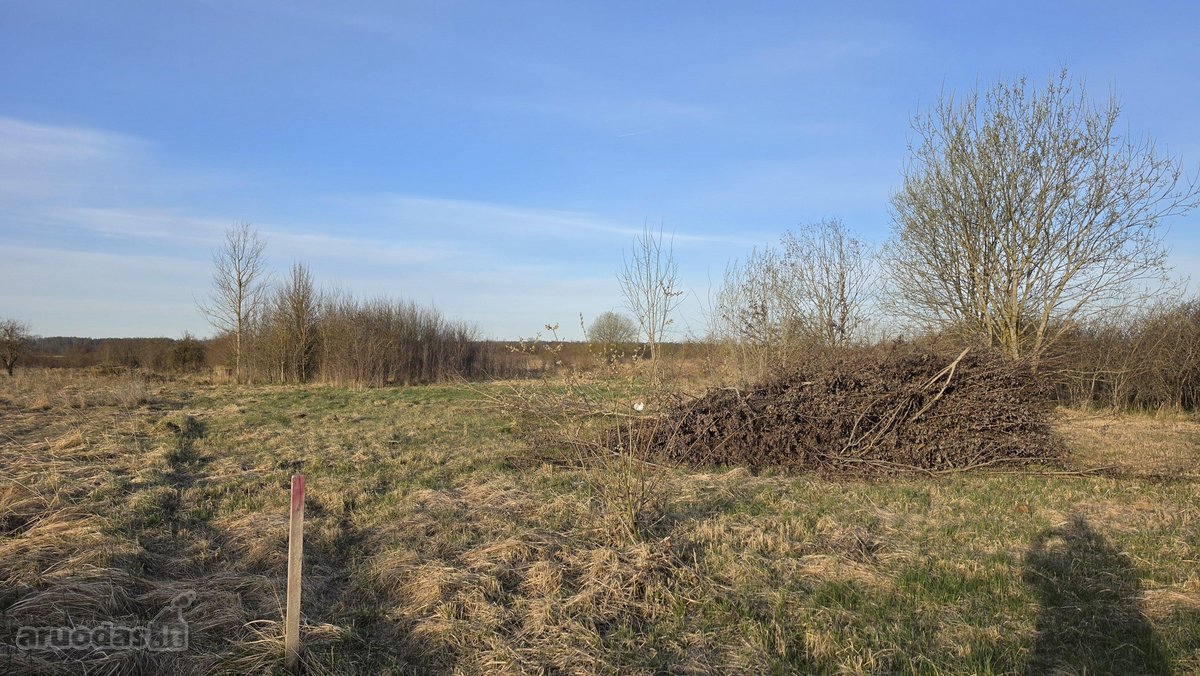 Parduodamas 12 a sodų sklypas Baisogaloje - nuotraukos Nr. 4