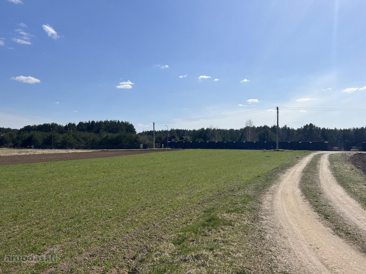 Puikus sklypas individualaus namo statybai - nuotraukos Nr. 22