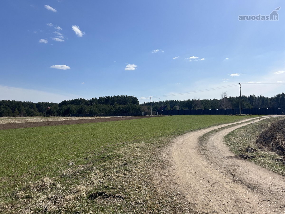 Puikus sklypas individualaus namo statybai - nuotraukos Nr. 29