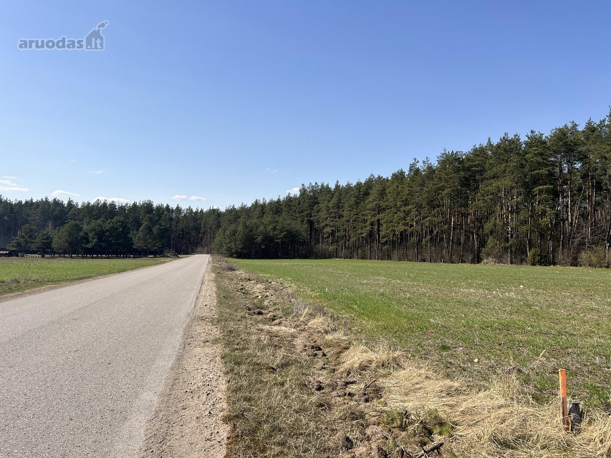 Sklypas ribojasi su Vytauto gatve, aplink - nuotraukos Nr. 2