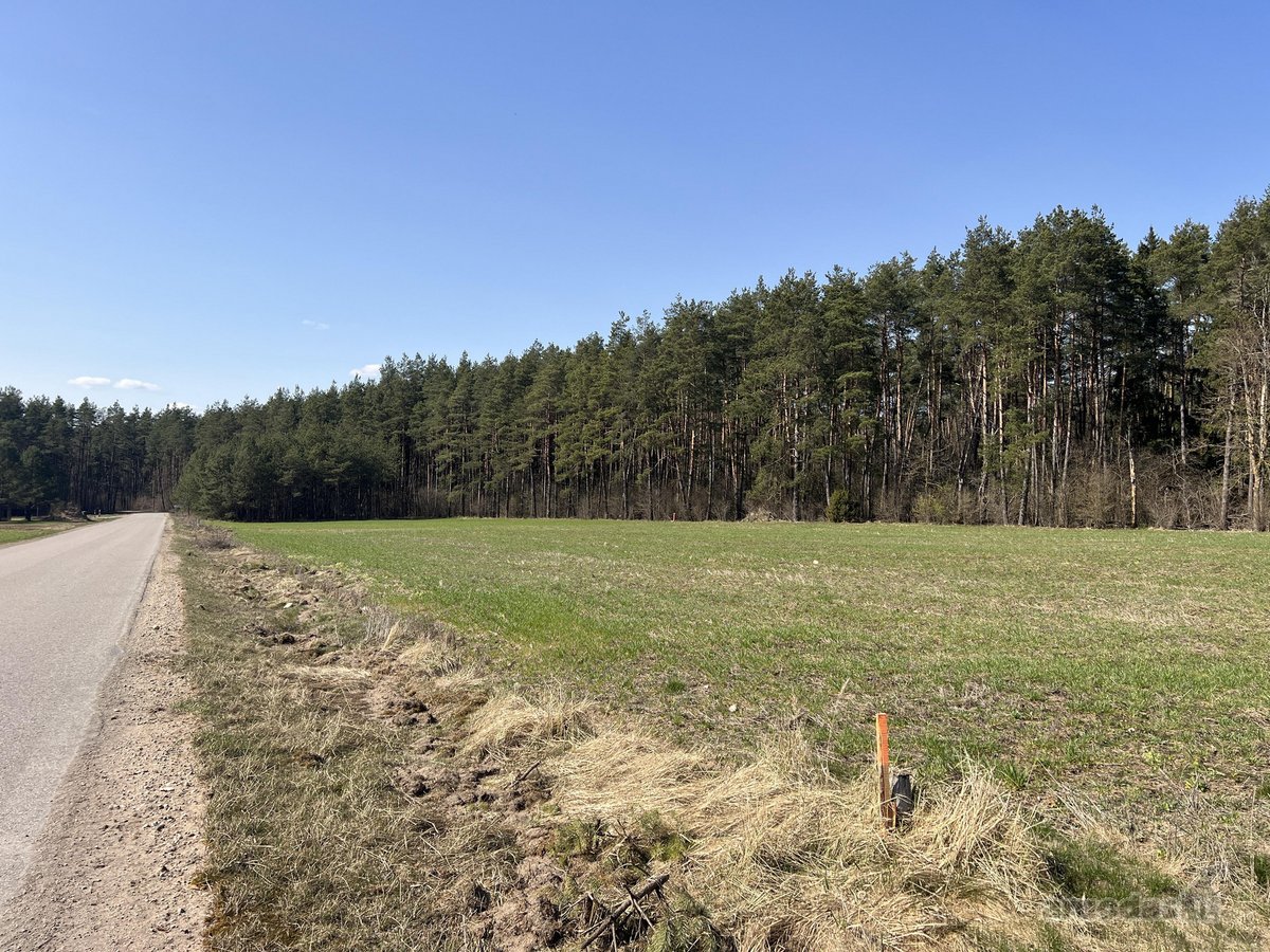 Sklypas ribojasi su Vytauto gatve, aplink - nuotraukos Nr. 3