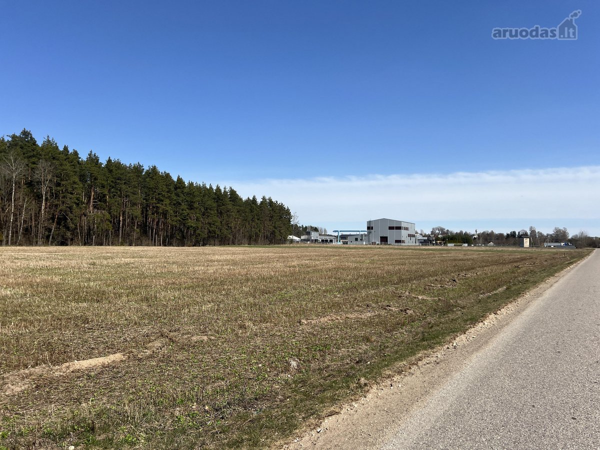 Sklypas ribojasi su Vytauto gatve, aplink - nuotraukos Nr. 5