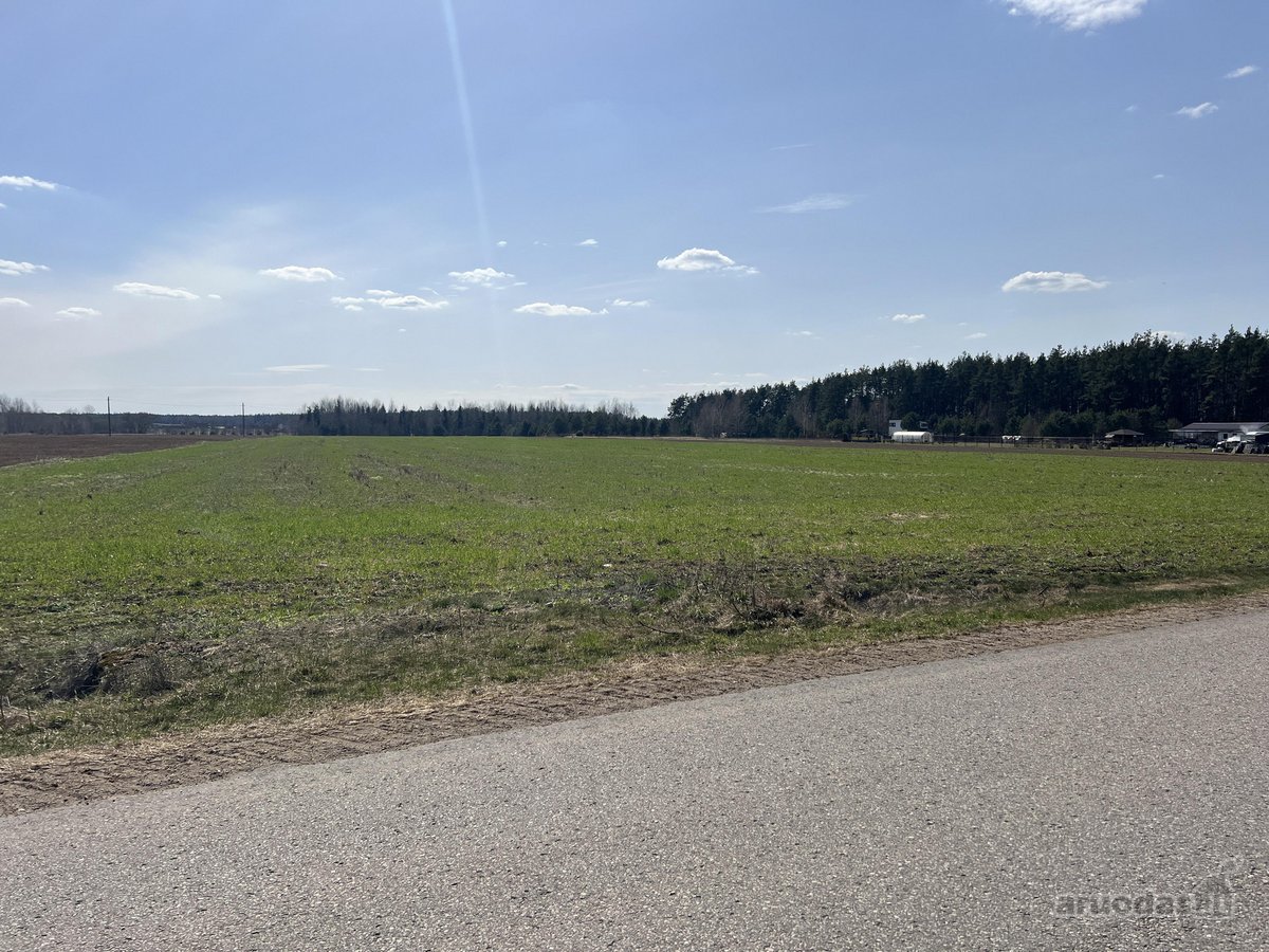 Sklypas ribojasi su Vytauto gatve, aplink - nuotraukos Nr. 7