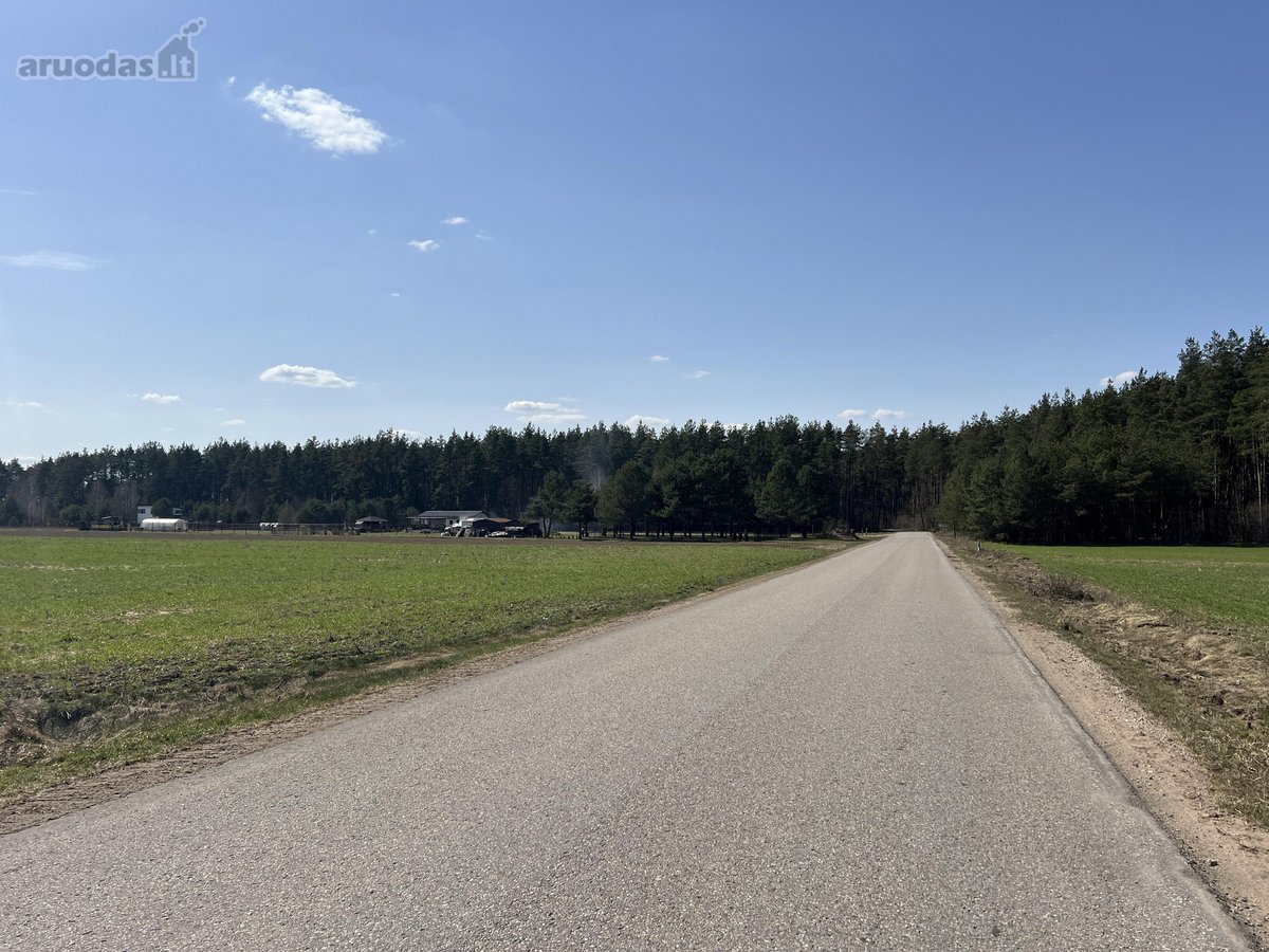 Sklypas ribojasi su Vytauto gatve, aplink - nuotraukos Nr. 8
