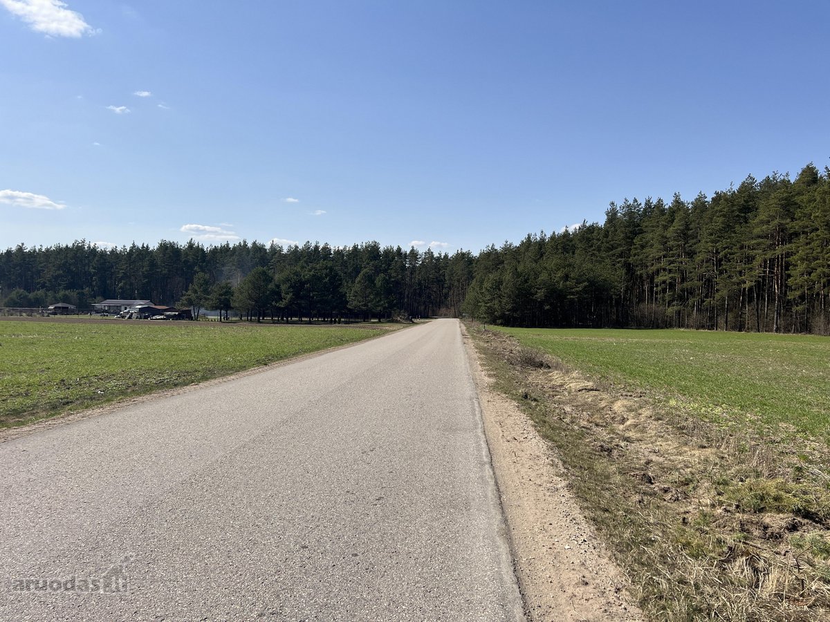 Sklypas ribojasi su Vytauto gatve, aplink - nuotraukos Nr. 9