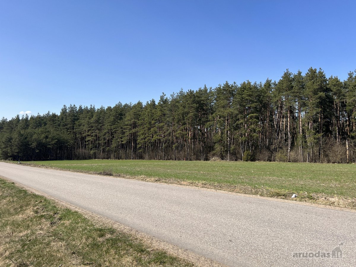 Sklypas ribojasi su Vytauto gatve, aplink - nuotraukos Nr. 13