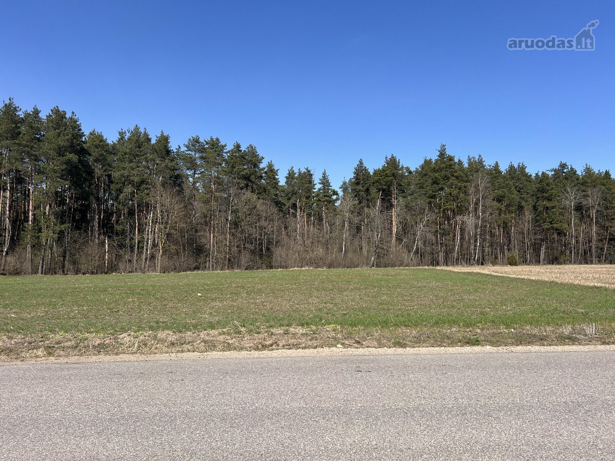 Sklypas ribojasi su Vytauto gatve, aplink - nuotraukos Nr. 14