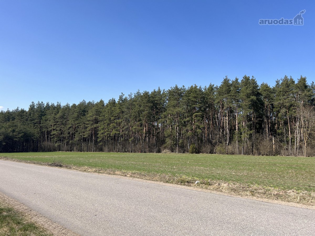Sklypas ribojasi su Vytauto gatve, aplink - nuotraukos Nr. 15