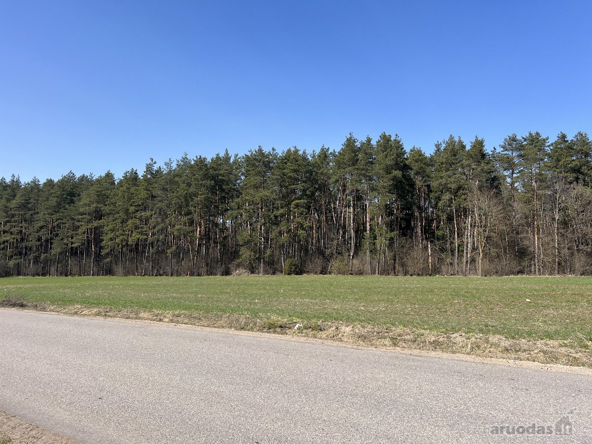 Sklypas ribojasi su Vytauto gatve, aplink - nuotraukos Nr. 17