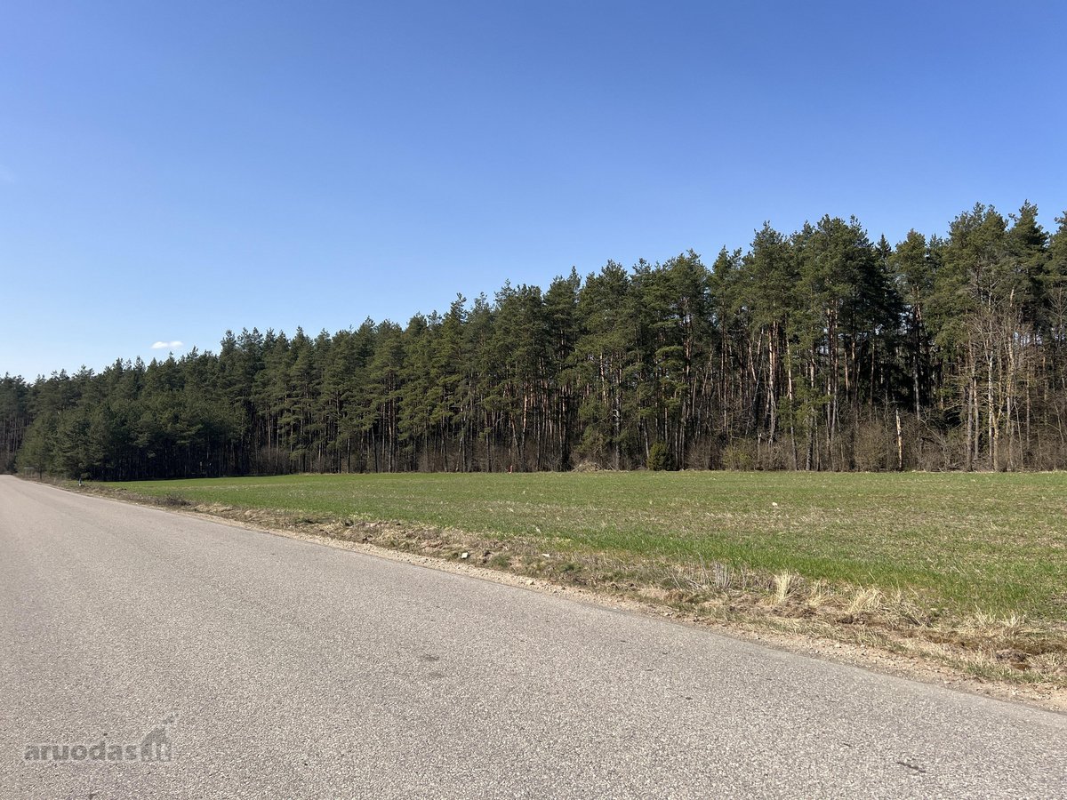 Sklypas ribojasi su Vytauto gatve, aplink - nuotraukos Nr. 21