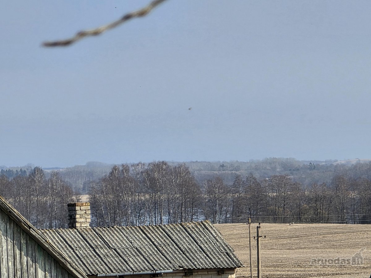 Parduodama , puoseleta,priziureta ir myleta - nuotraukos Nr. 6