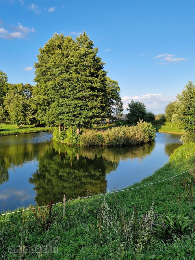 Parduodama , puoseleta,priziureta ir myleta - nuotraukos Nr. 14