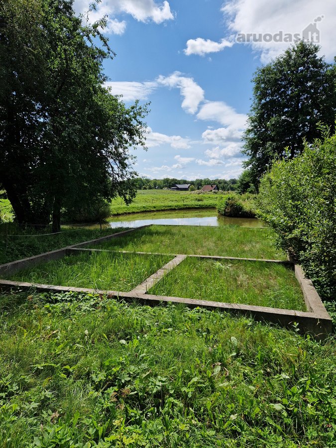 Parduodama , puoseleta,priziureta ir myleta - nuotraukos Nr. 15