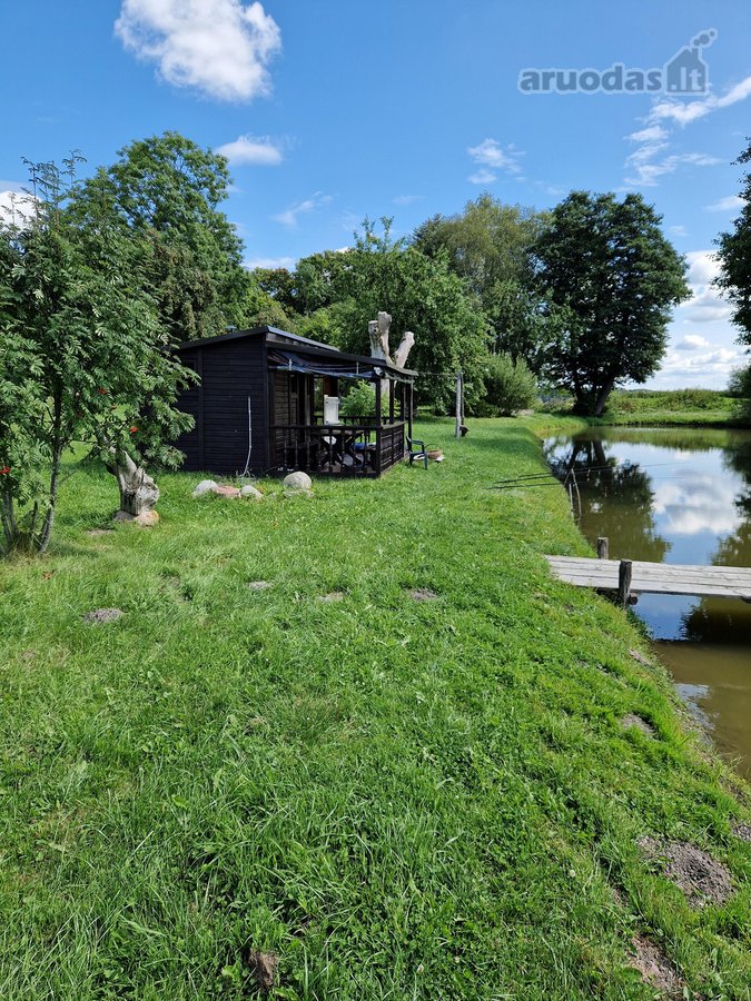 Parduodama , puoseleta,priziureta ir myleta - nuotraukos Nr. 22