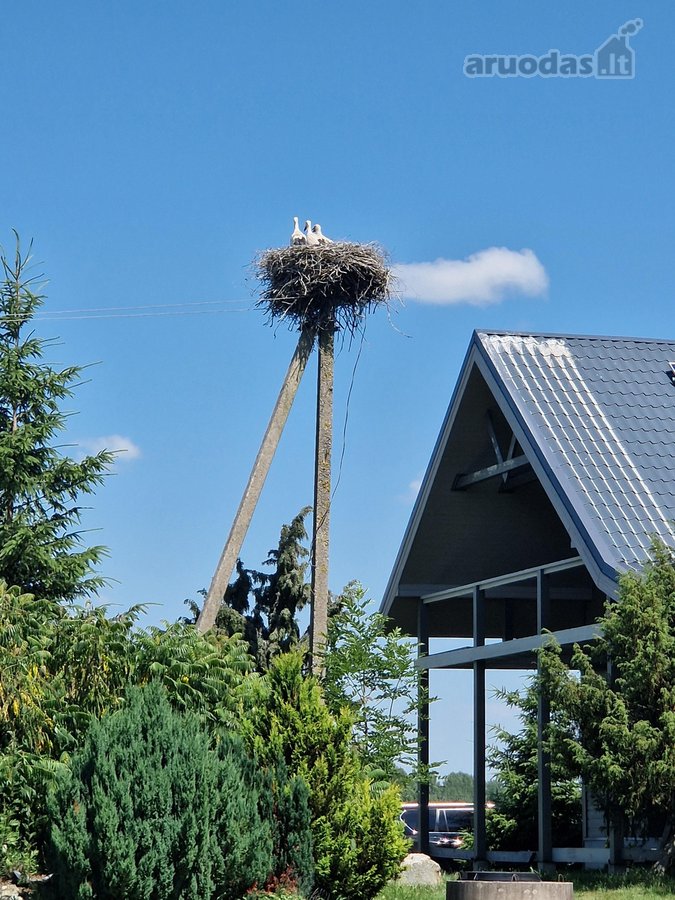 Parduodama , puoseleta,priziureta ir myleta - nuotraukos Nr. 35