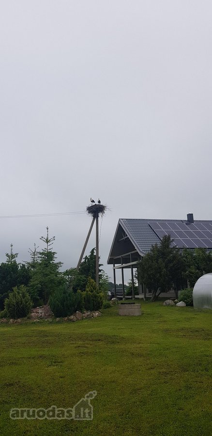 Parduodama , puoseleta,priziureta ir myleta - nuotraukos Nr. 40