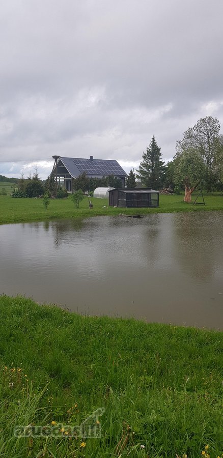 Parduodama , puoseleta,priziureta ir myleta - nuotraukos Nr. 41