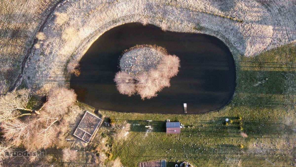 Parduodama , puoseleta,priziureta ir myleta - nuotraukos Nr. 42