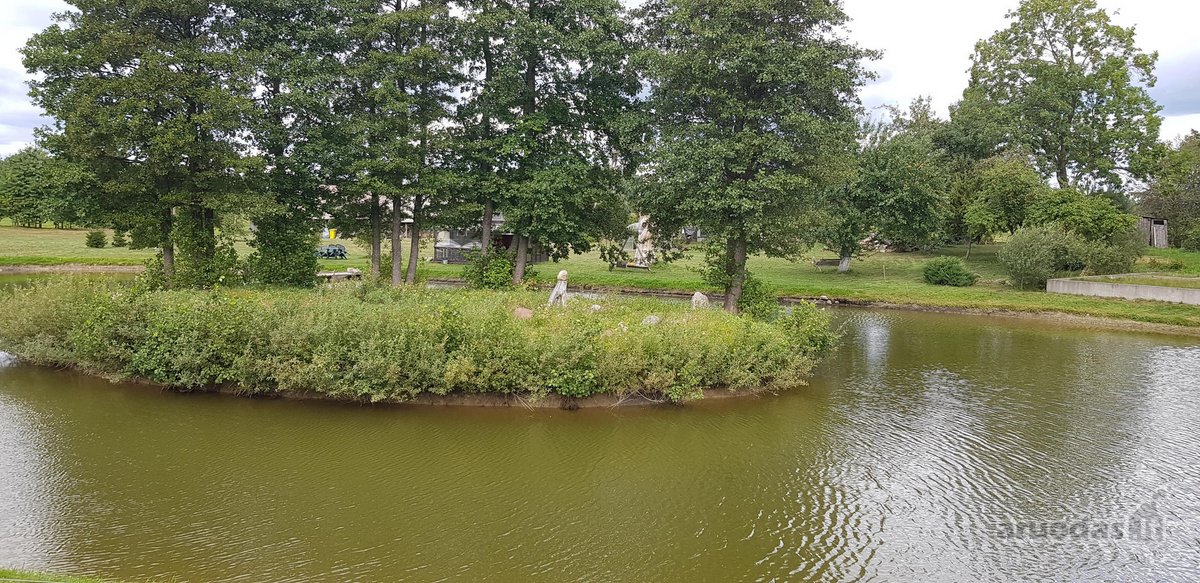 Parduodama , puoseleta,priziureta ir myleta - nuotraukos Nr. 45